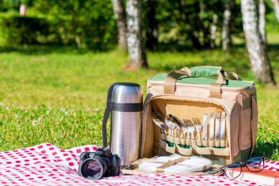 Deka s výbavou na piknik a termoskou