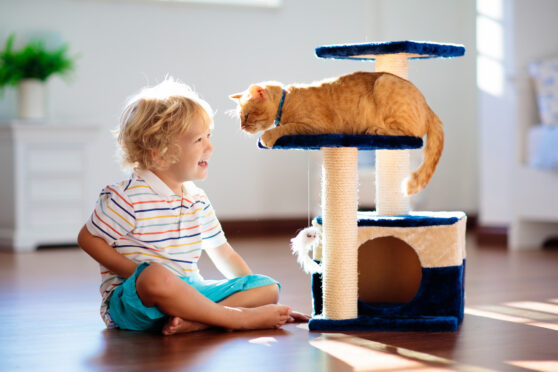 Dítě si hraje s kočkou na škrabadle